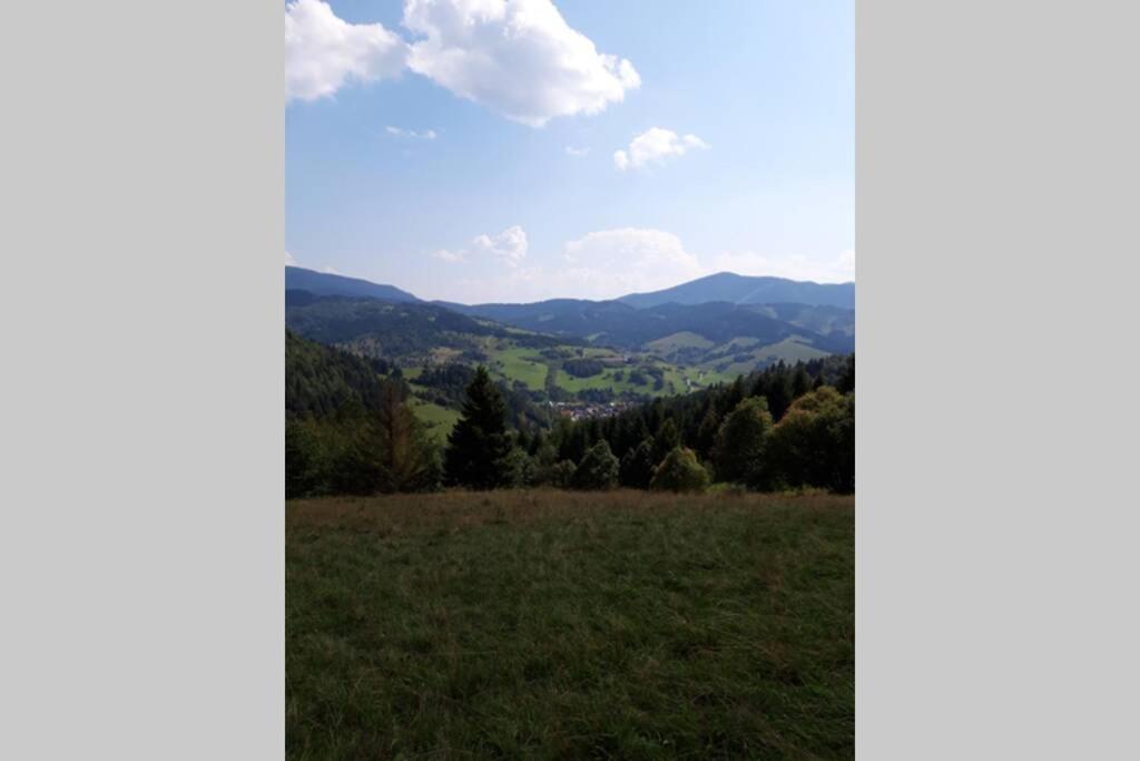 Horská turistika s domácí atmosférou Apartamento Dolny Kubin Exterior foto